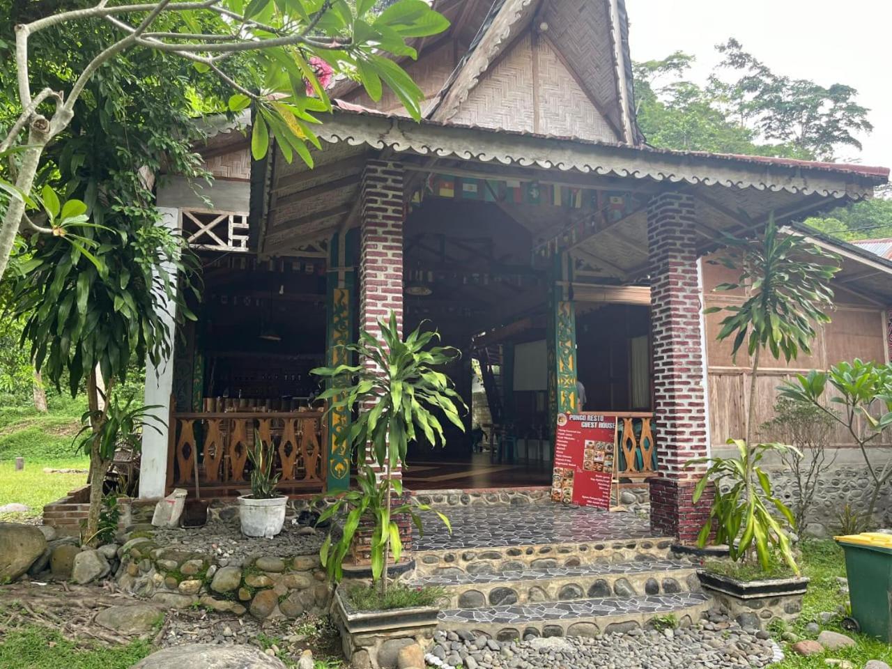 Pongo Guest House & Jungle Trekking Bukit Lawang Εξωτερικό φωτογραφία