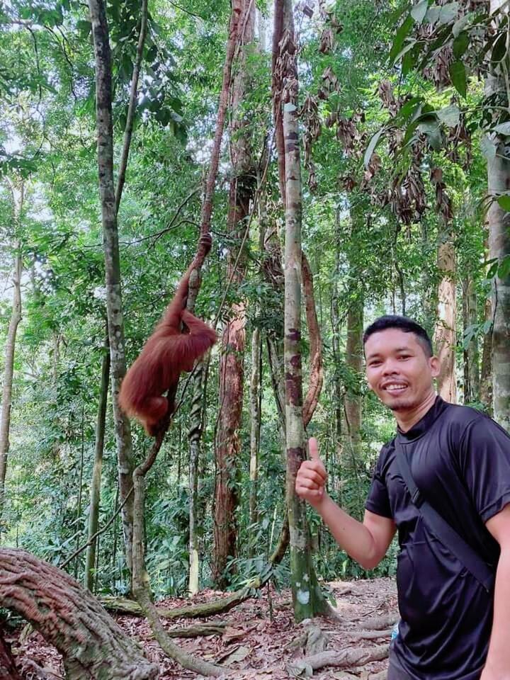 Pongo Guest House & Jungle Trekking Bukit Lawang Εξωτερικό φωτογραφία