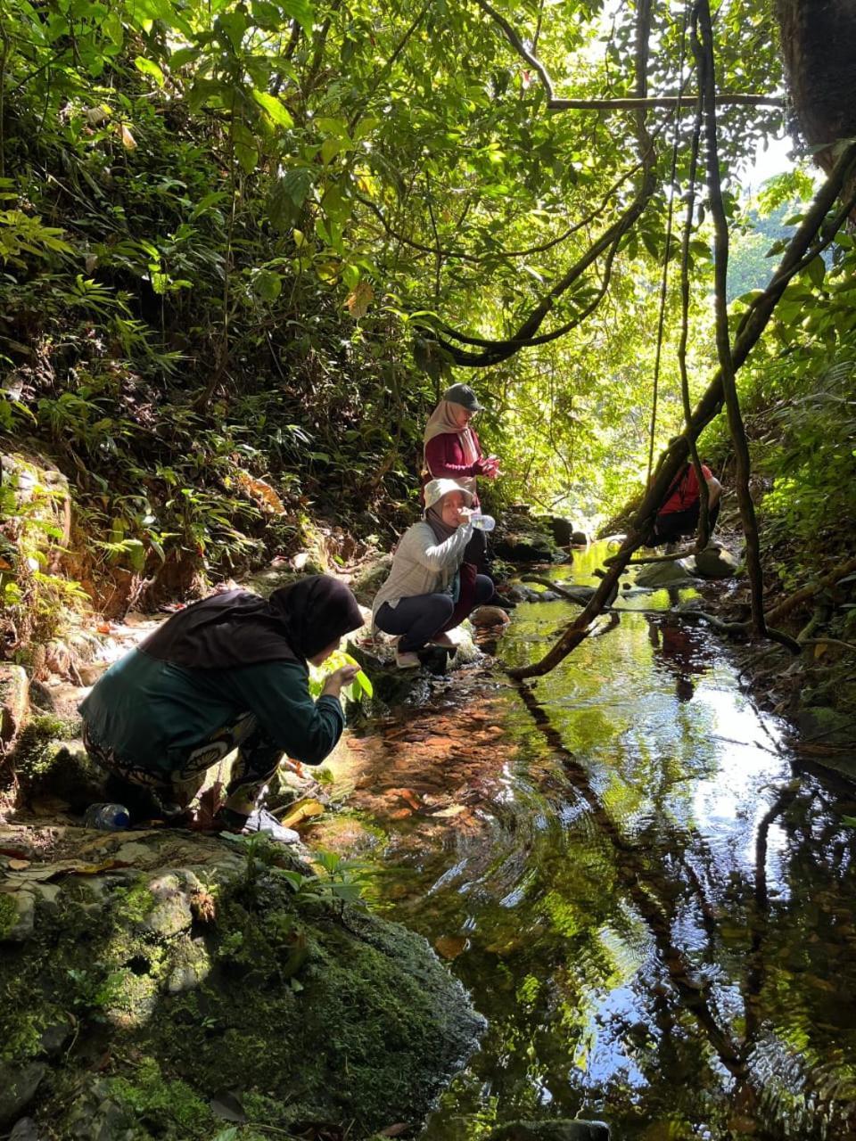 Pongo Guest House & Jungle Trekking Bukit Lawang Εξωτερικό φωτογραφία