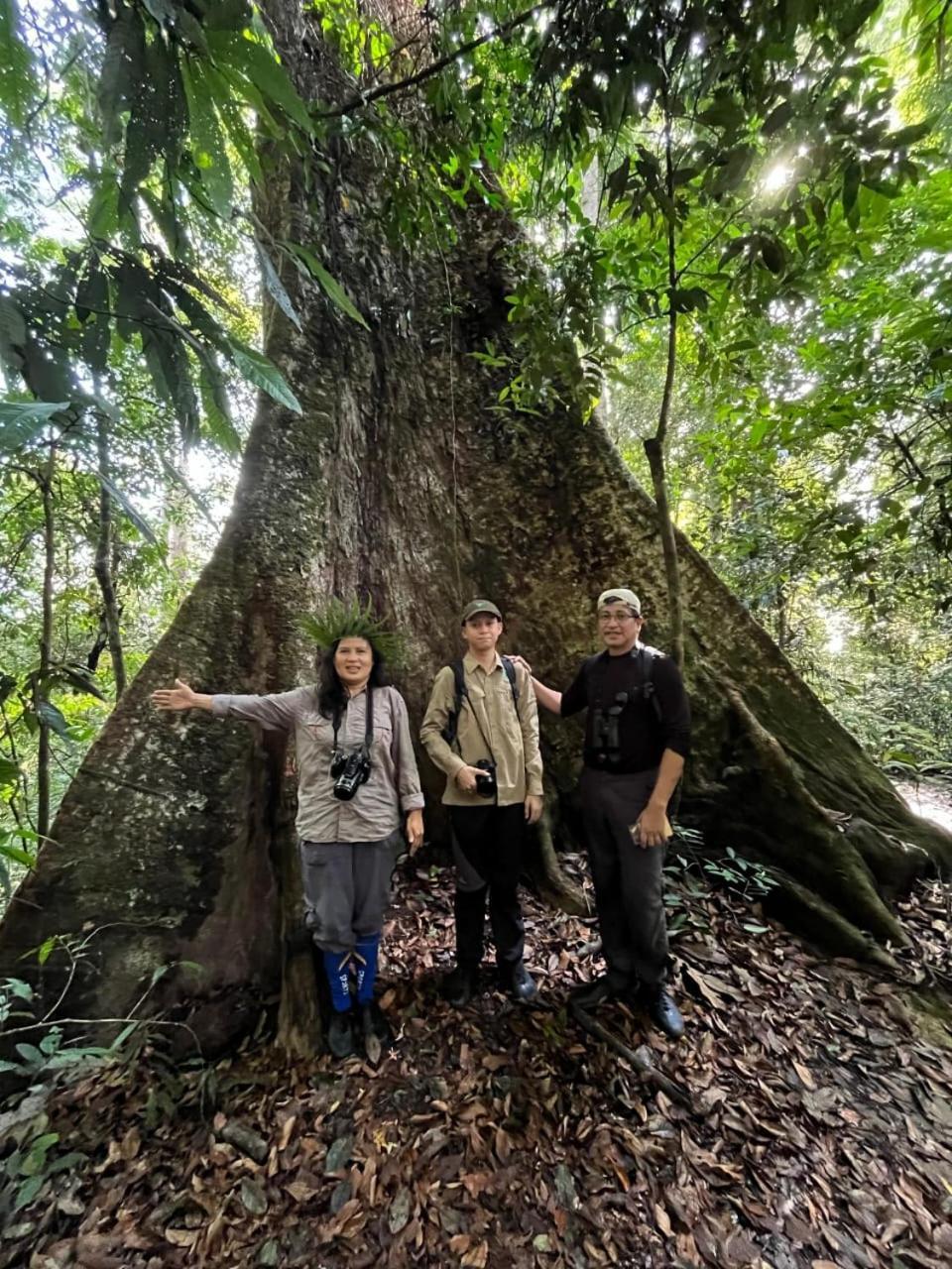 Pongo Guest House & Jungle Trekking Bukit Lawang Εξωτερικό φωτογραφία