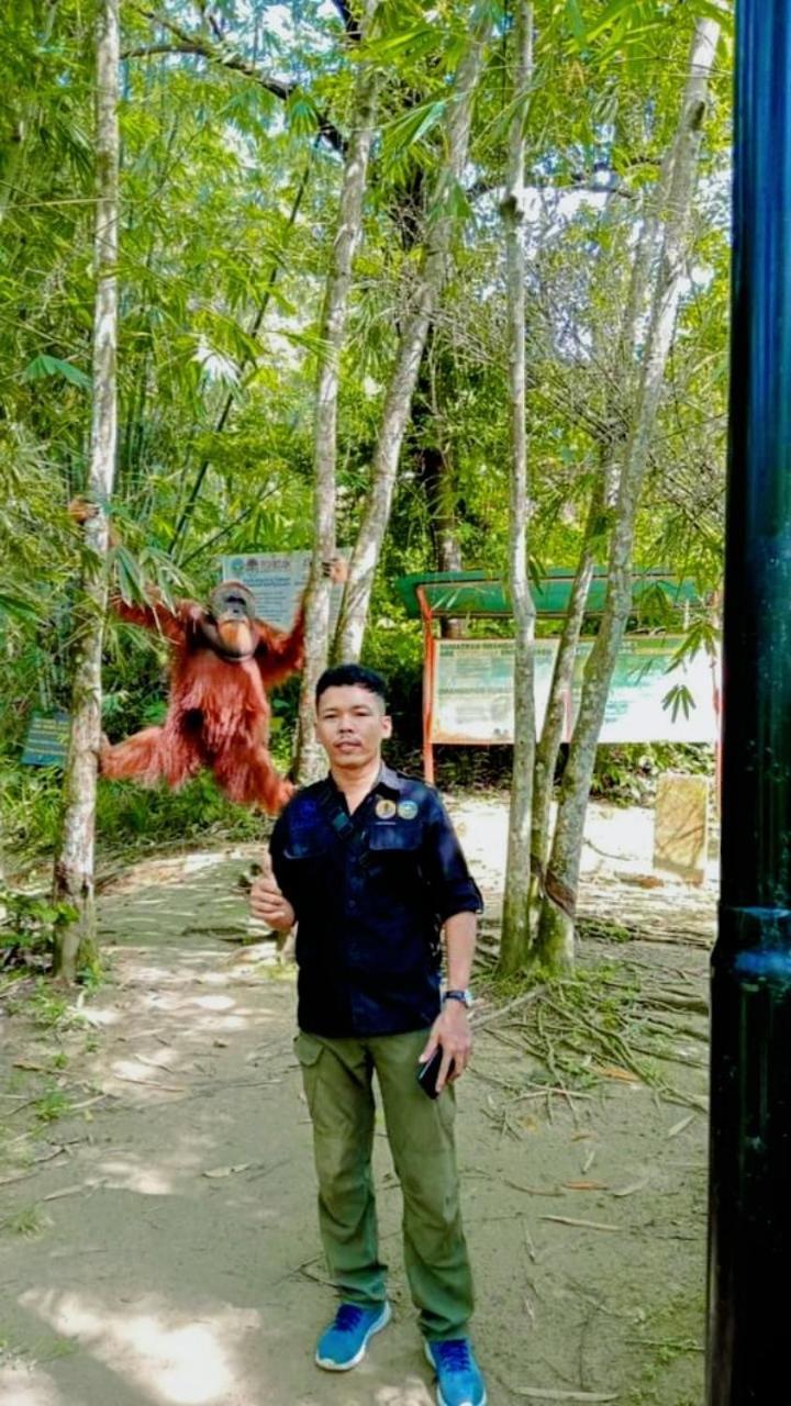 Pongo Guest House & Jungle Trekking Bukit Lawang Εξωτερικό φωτογραφία