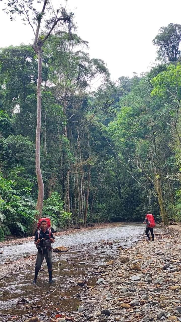 Pongo Guest House & Jungle Trekking Bukit Lawang Εξωτερικό φωτογραφία