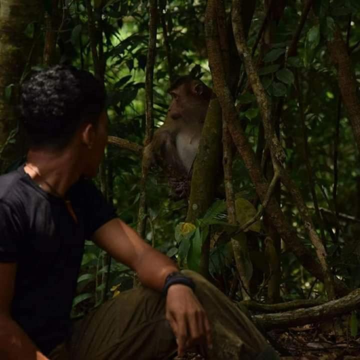 Pongo Guest House & Jungle Trekking Bukit Lawang Εξωτερικό φωτογραφία