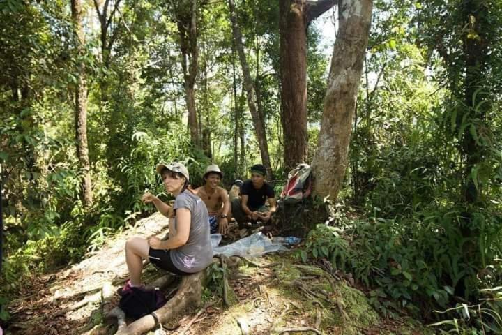 Pongo Guest House & Jungle Trekking Bukit Lawang Εξωτερικό φωτογραφία