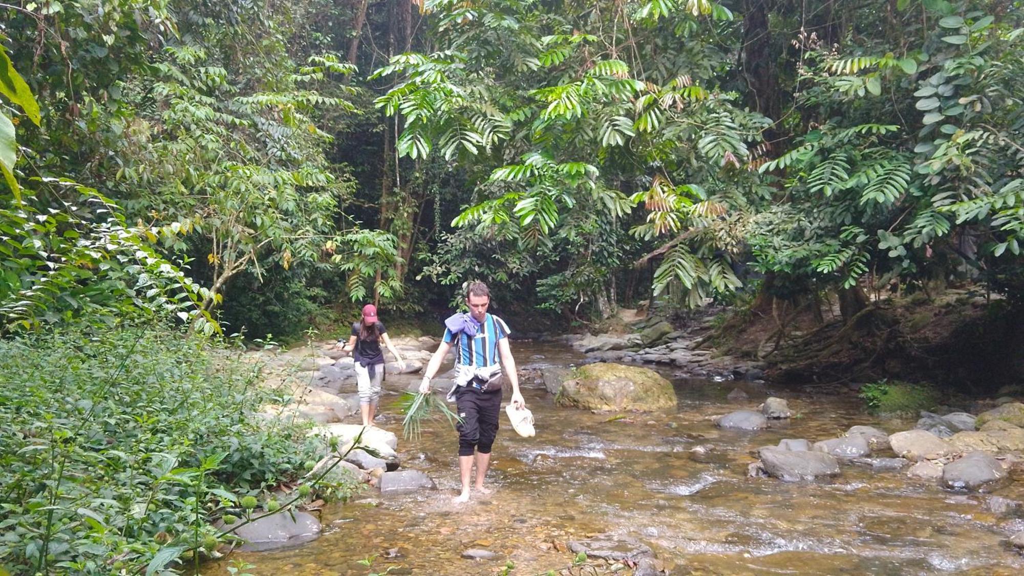 Pongo Guest House & Jungle Trekking Bukit Lawang Εξωτερικό φωτογραφία