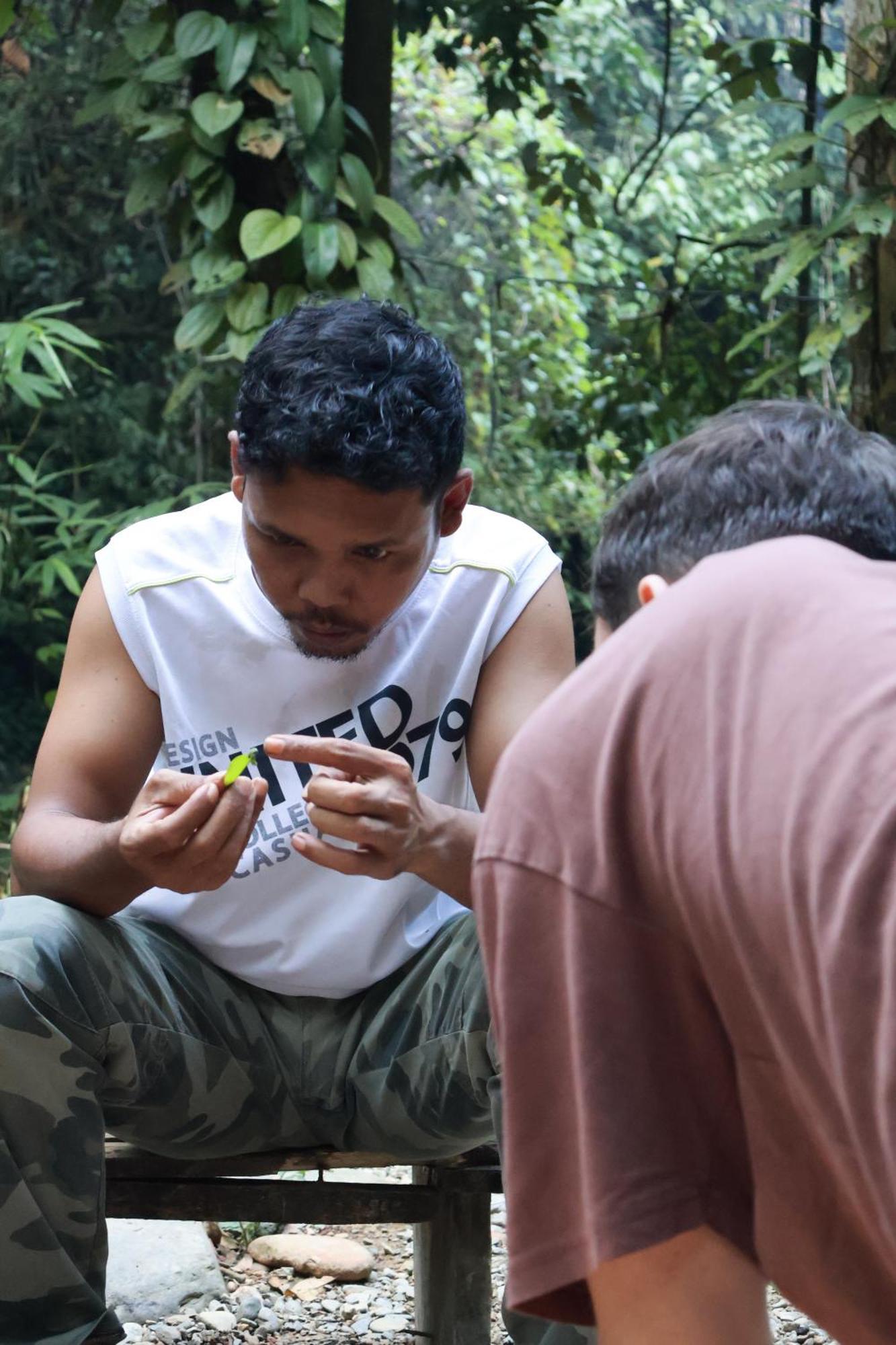 Pongo Guest House & Jungle Trekking Bukit Lawang Εξωτερικό φωτογραφία